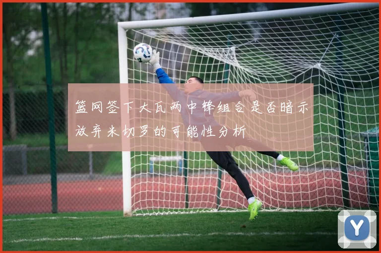 篮网签下大瓦两中锋组合是否暗示放弃米切罗的可能性分析