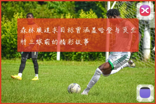 森林狼追求目标曾涵盖哈登与莫兰特三球前的精彩故事