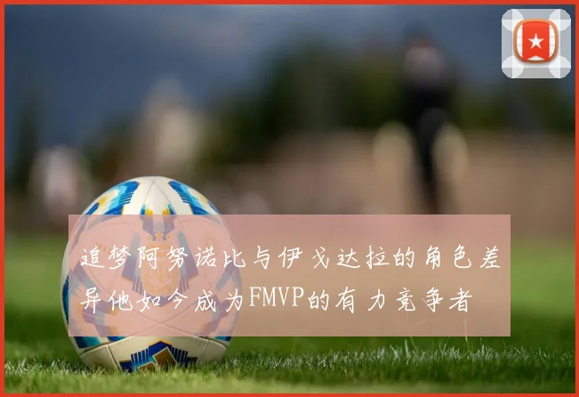 追梦阿努诺比与伊戈达拉的角色差异他如今成为FMVP的有力竞争者