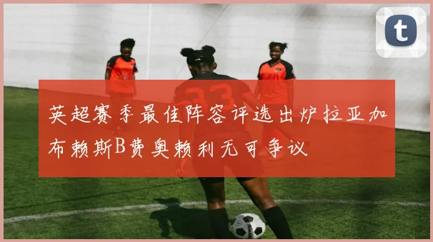 英超赛季最佳阵容评选出炉拉亚加布赖斯B费奥赖利无可争议